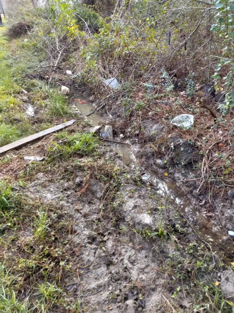 Expert outdoor landscaping in Old River Winfree, TX - Ernie & Son landscape