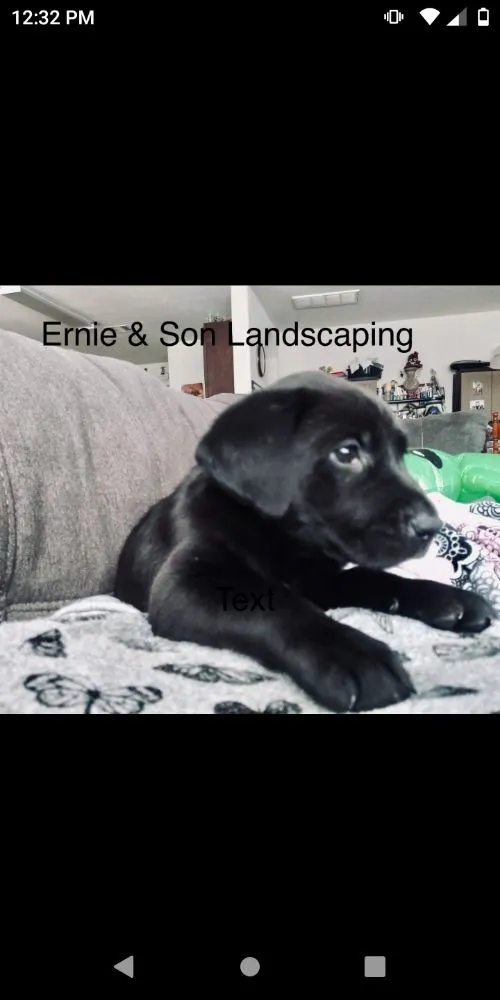 Top-rated garden landscaping for year-round maintenance across Old River Winfree, TX - Ernie & Son landscape