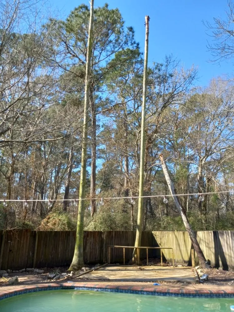 Reliable garden landscaping for year-round maintenance in Old River Winfree, TX by Ernie & Son landscape