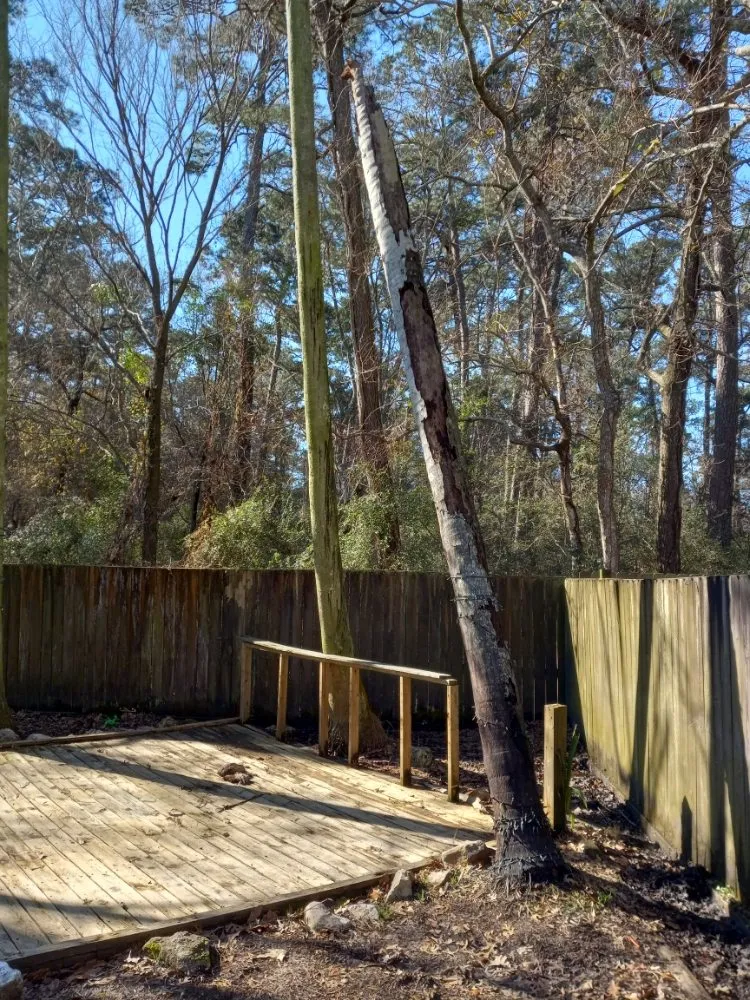 Local outdoor landscaping in Old River Winfree, TX - Ernie & Son landscape