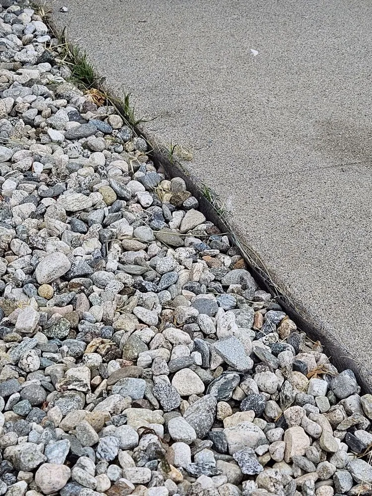 Reliable landscaping services for outdoor upgrades in Pico Rivera, CA by Ernie M Ureno Tree Service