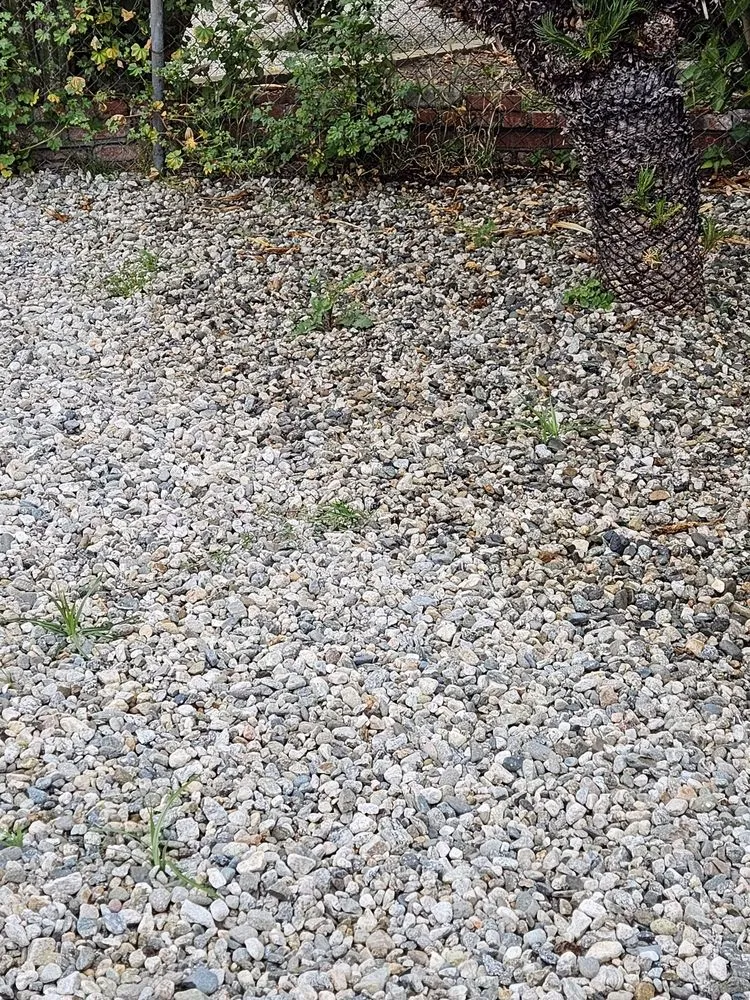 Local residential landscaping experts serving Pico Rivera, CA - Ernie M Ureno Tree Service