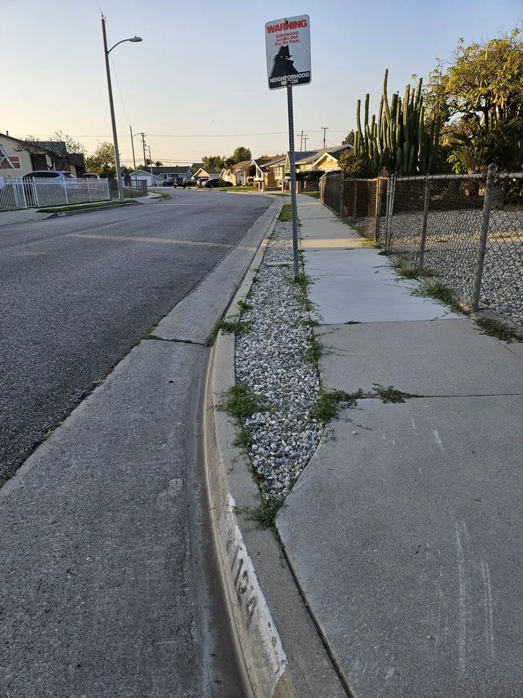 Expert landscape design in Pico Rivera, CA - Ernie M Ureno Tree Service