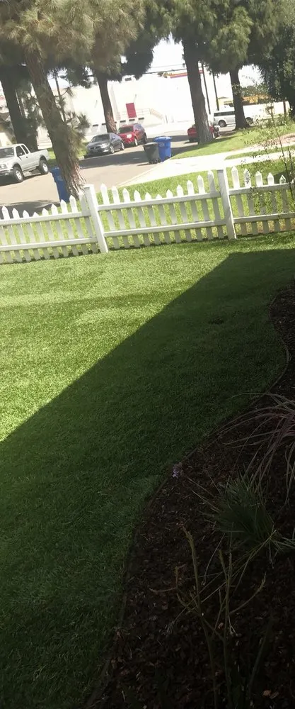 Trusted yard maintenance experts serving Pico Rivera, CA - Ernie M Ureno Tree Service