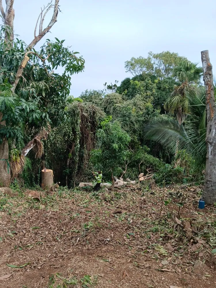 Top-rated lawn care service for beautiful yards in Kekaha, HI by Ernies Hands