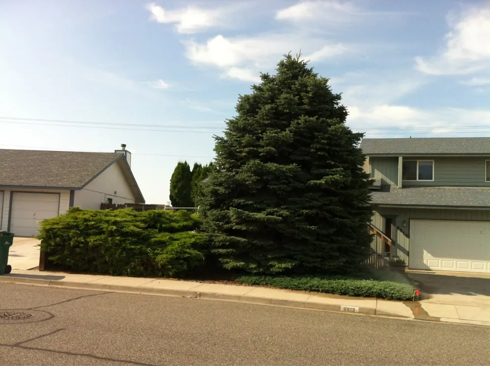 Top-rated lawn mowing service with custom design in Kennewick, WA by Ernie's Landscaping