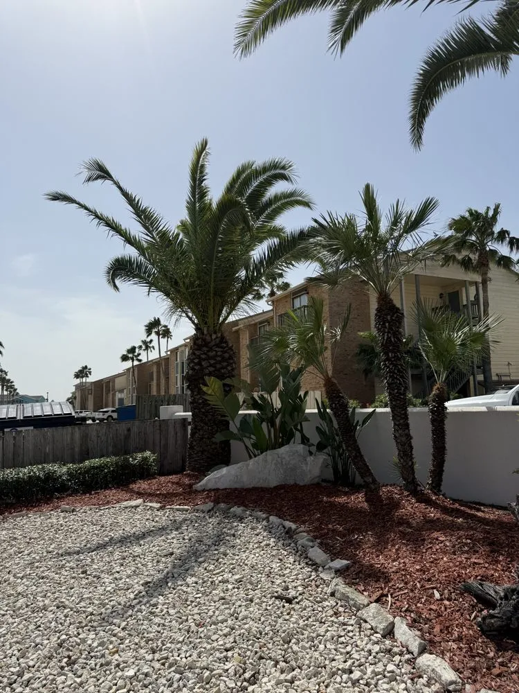 Custom outdoor landscaping in Kingsville, TX by Ernie's Lawn Care & Maintenance