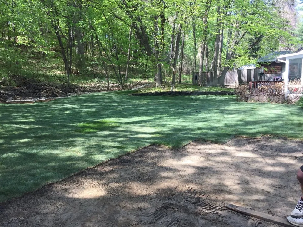 Expert yard maintenance in Albany, NY by Erno Enterprises