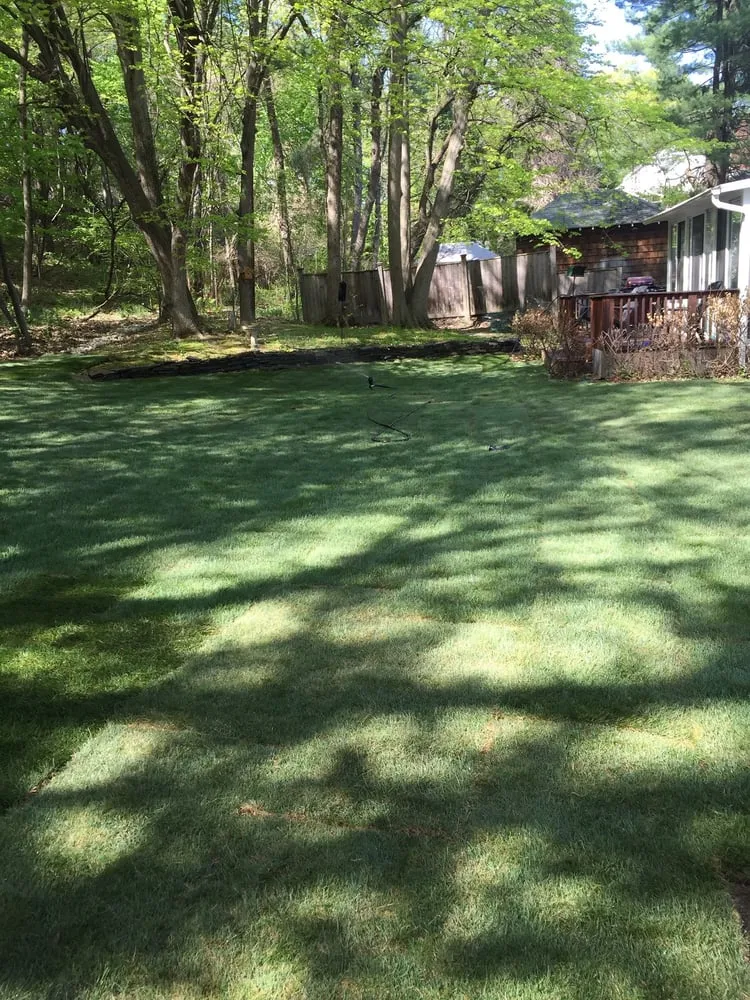 Local landscaping services for beautiful yards across Albany, NY - Erno Enterprises