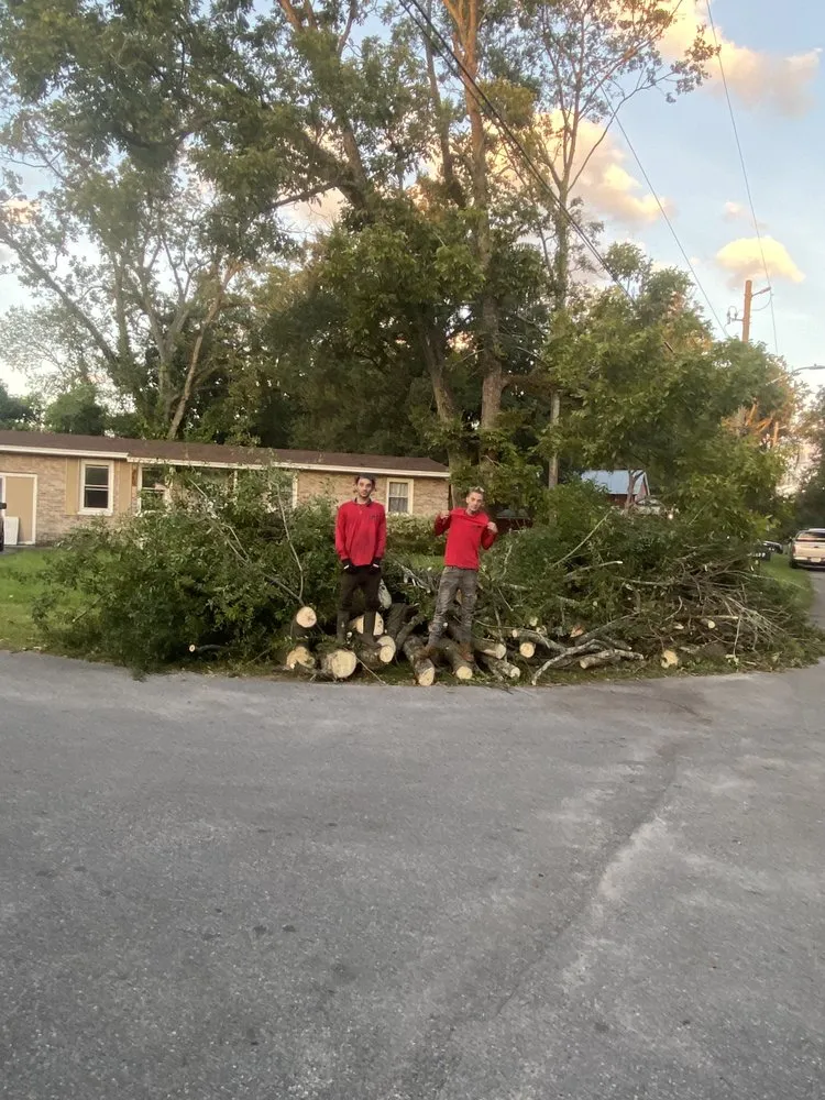 Reliable lawn care service for outdoor upgrades in Jacksonville, FL by ERO landscaping