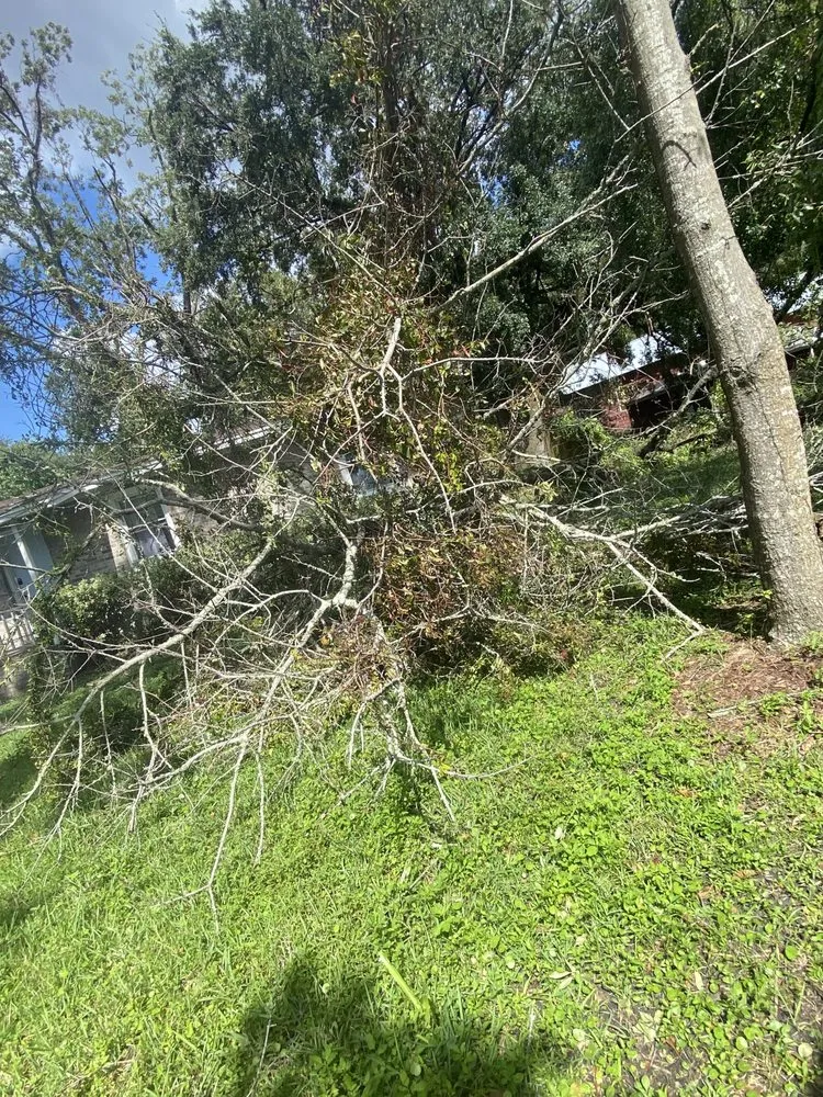 Trusted landscape installation in Jacksonville, FL by ERO landscaping