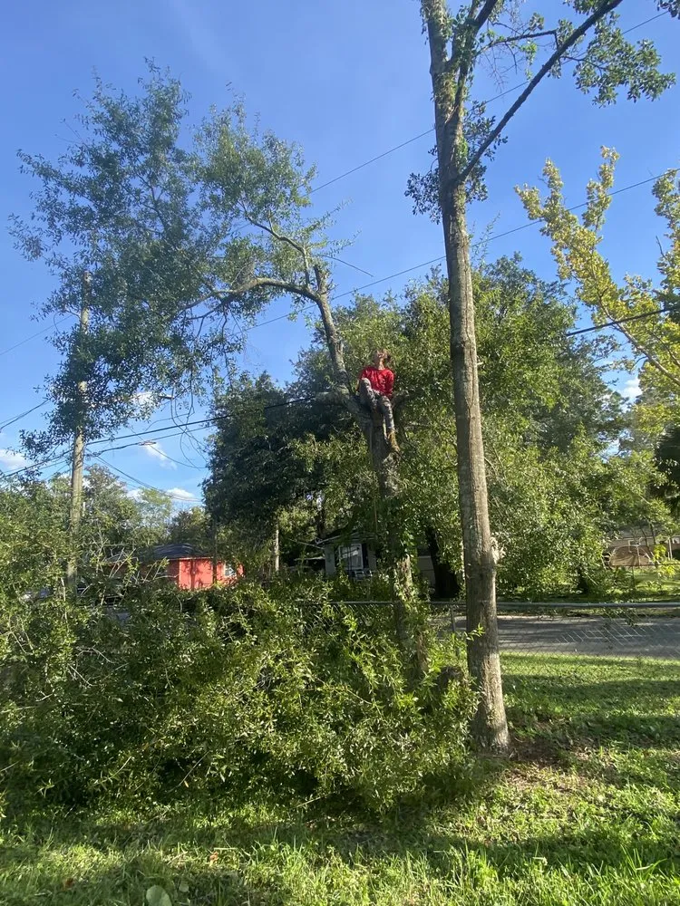 Expert residential landscaping experts serving Jacksonville, FL - ERO landscaping