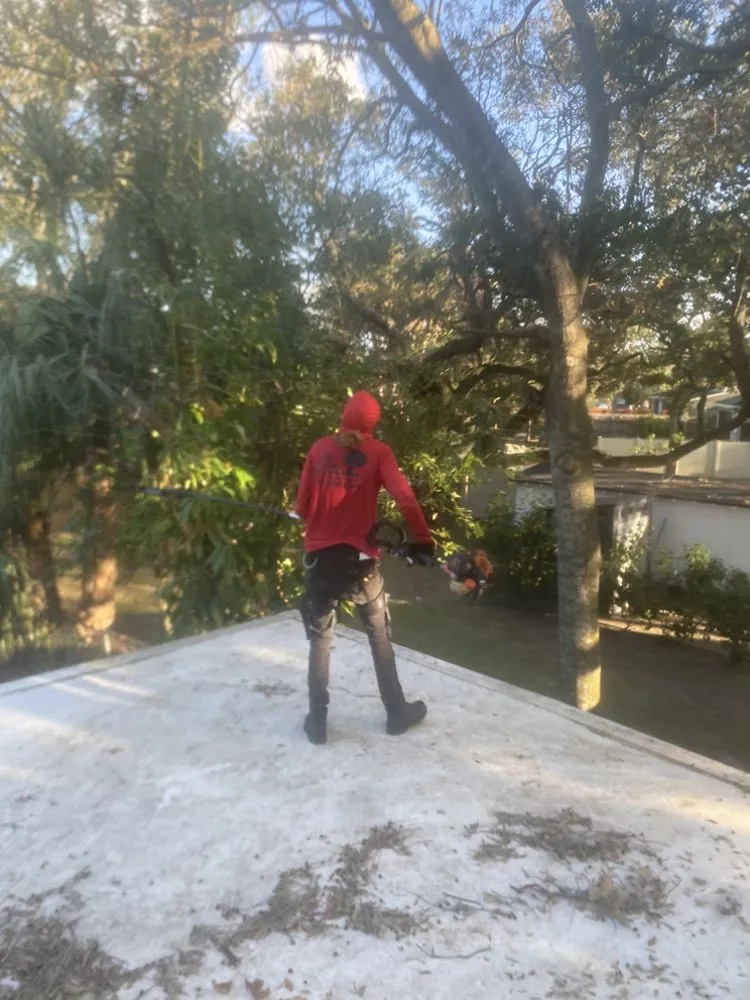 Top-rated landscaping services for homes across Jacksonville, FL - ERO landscaping