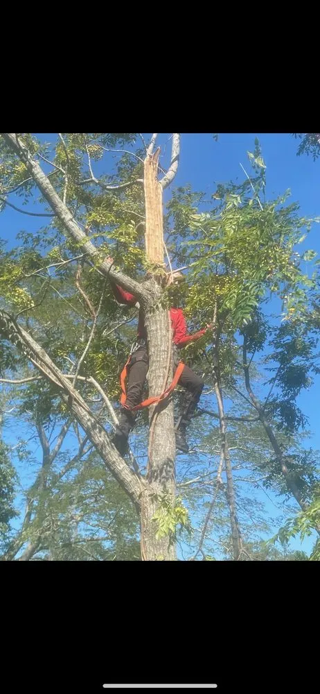 Custom lawn mowing service in Jacksonville, FL by ERO landscaping