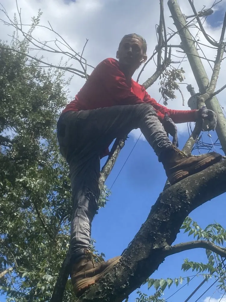 Top-rated lawn care service for beautiful yards across Jacksonville, FL - ERO landscaping