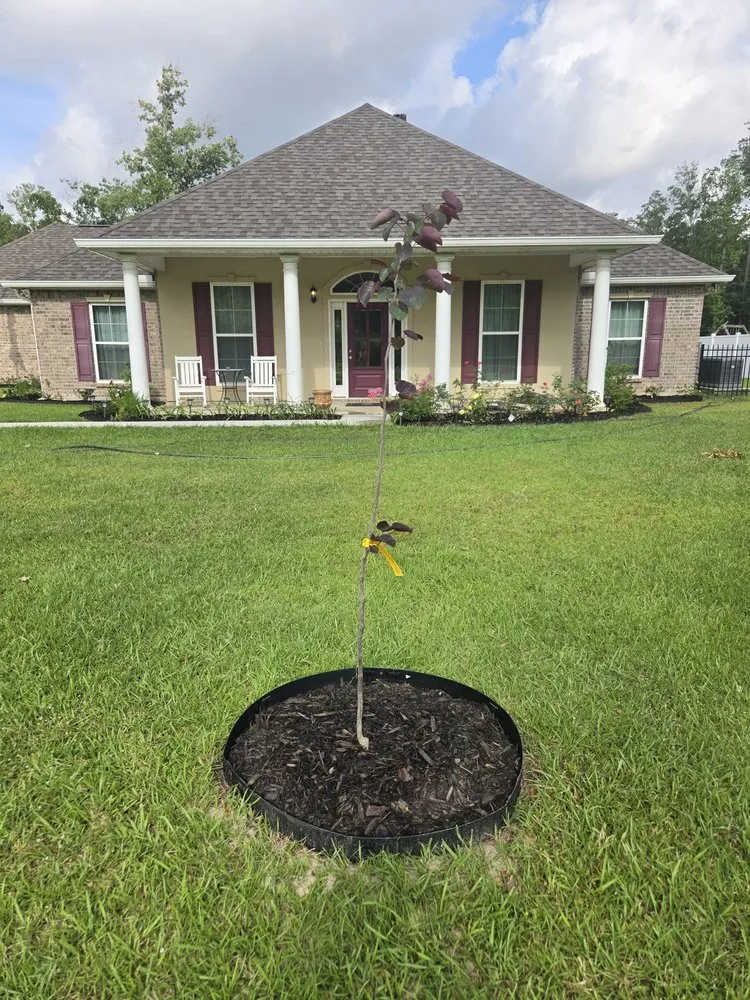 Reliable garden landscaping near you across Independence, LA - Erose Property Solutions