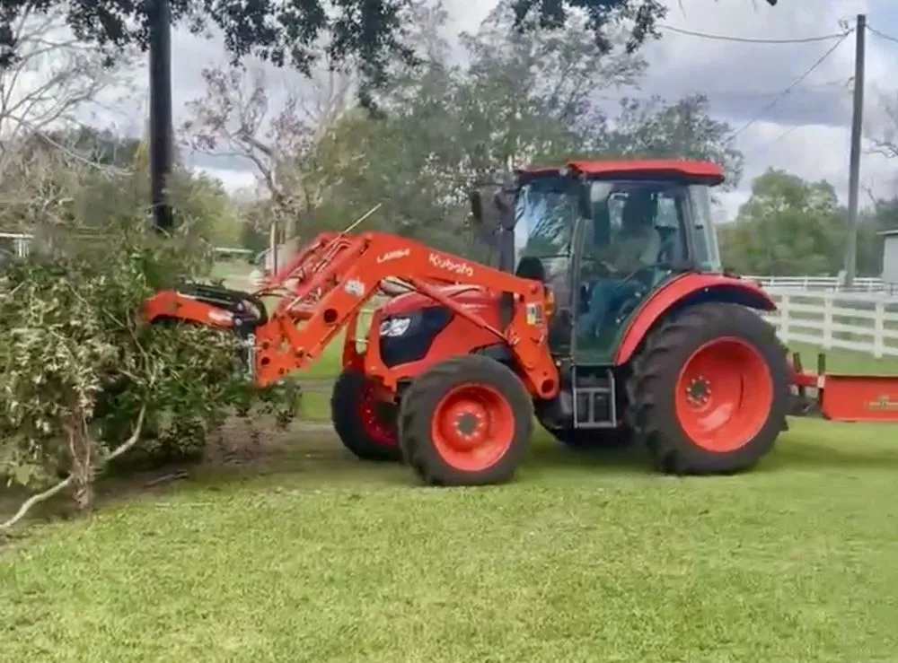 Affordable yard cleanup service in Independence, LA by Erose Property Solutions