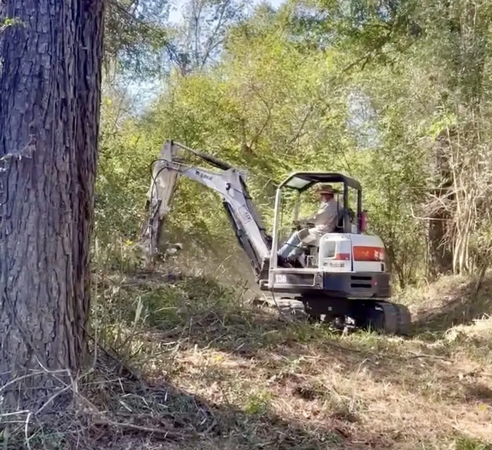 Top-rated residential landscaping in Independence, LA by Erose Property Solutions