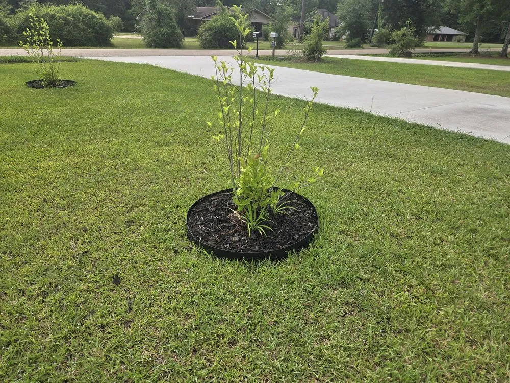 Professional yard cleanup service for beautiful yards in Independence, LA by Erose Property Solutions