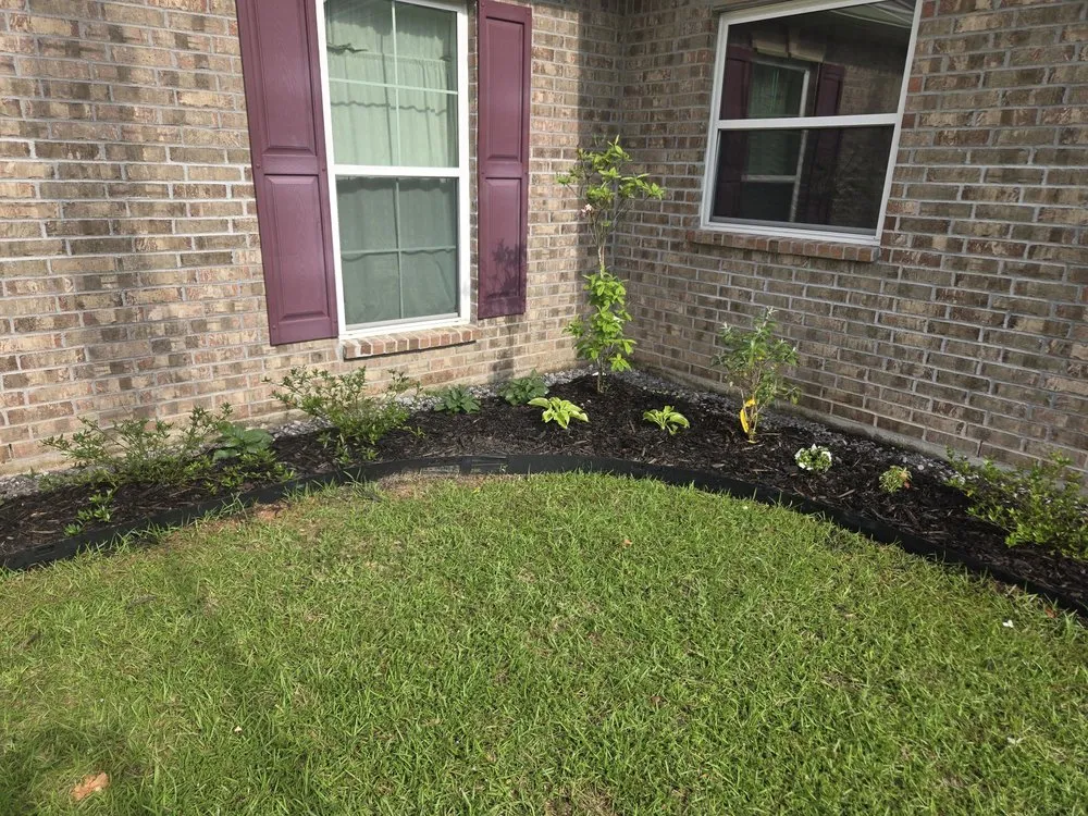 Professional yard cleanup service for beautiful yards across Independence, LA - Erose Property Solutions