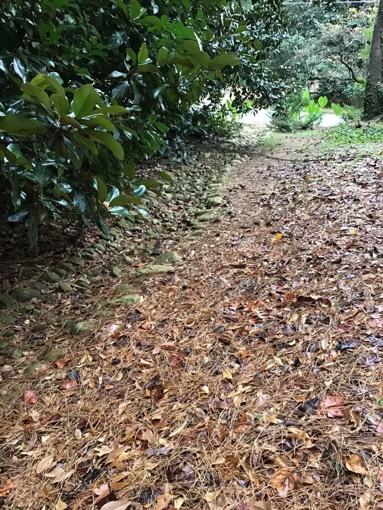 Professional landscaping services in Atlanta, GA - Erosion Management Services