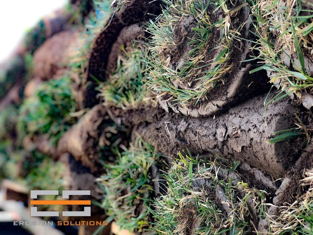 Affordable lawn mowing service in Athens, TN - Erosion Solutions