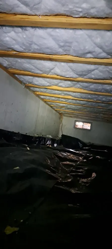 Trusted yard maintenance for year-round maintenance across Shelton, WA - ERPM General Contractor