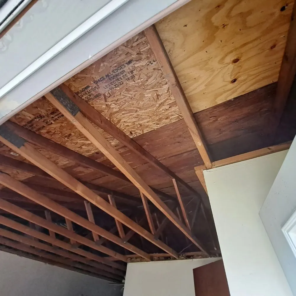 Trusted yard cleanup service for residential properties in Columbus, OH by Errand Boys Freelancing