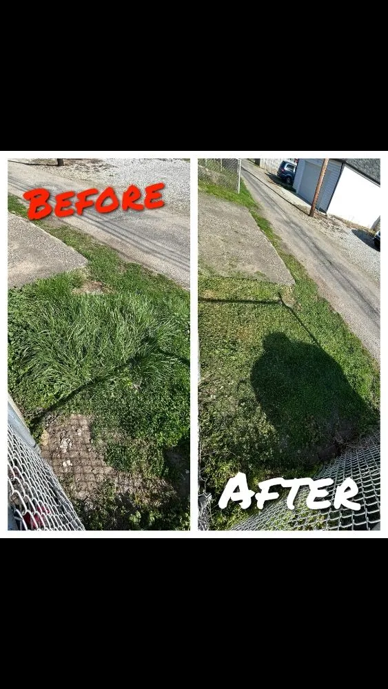 Professional yard cleanup service in Columbus, OH - Errand Boys Freelancing