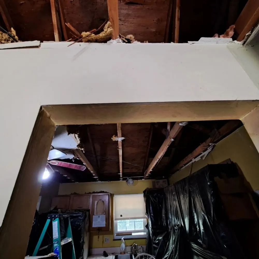 Expert landscaping services in Columbus, OH by Errand Boys Freelancing