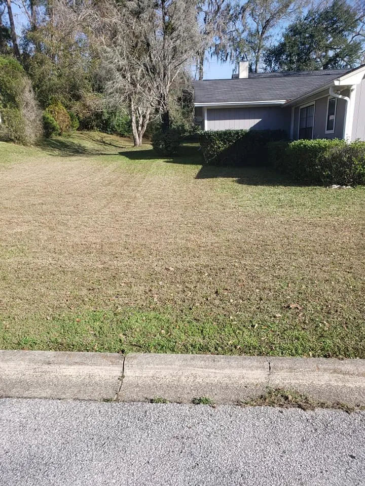 Professional landscaping services experts serving Tallahassee, FL - Erratic Mowers