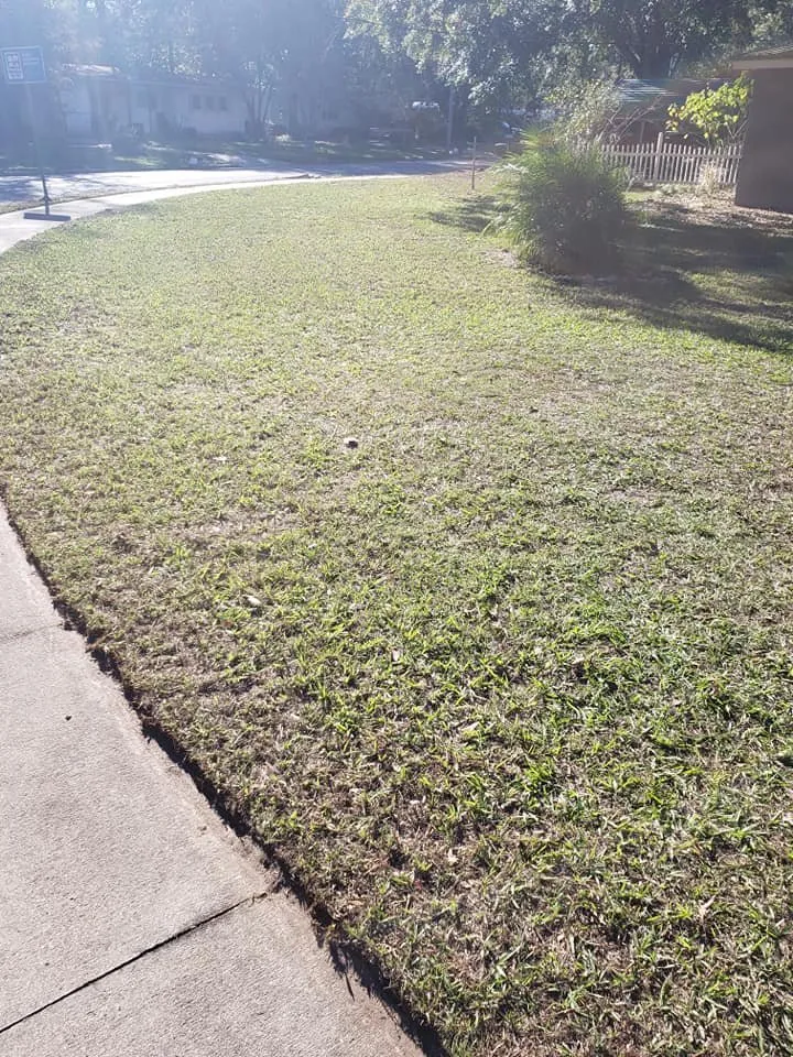 Reliable lawn care service in Tallahassee, FL by Erratic Mowers