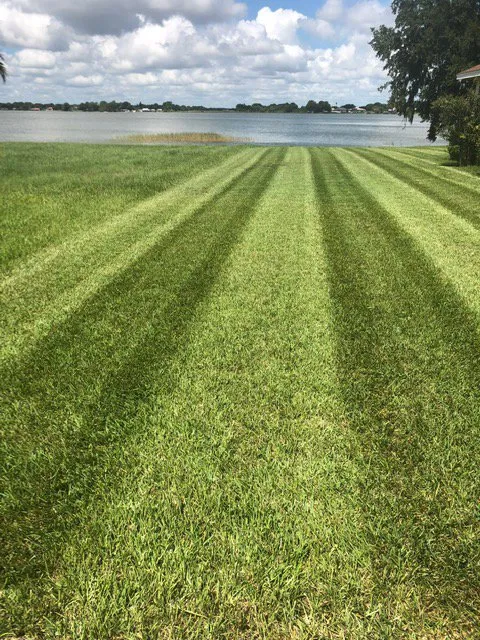 Local landscape design experts serving Wahneta, FL - ERS LawnScapes