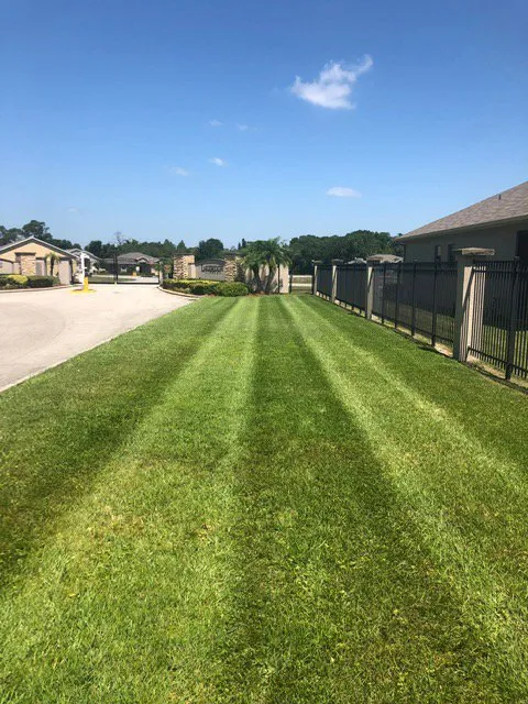 Reliable landscaping services for homes in Wahneta, FL by ERS LawnScapes