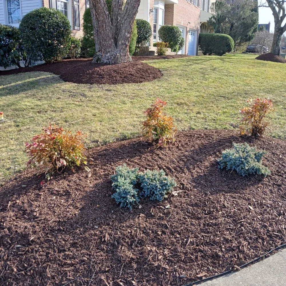 Local yard cleanup service in Windsor Mill, MD - Ervin's Landscaping