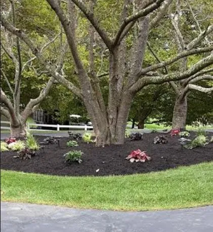 Custom lawn care service experts serving Windsor Mill, MD - Ervin's Landscaping