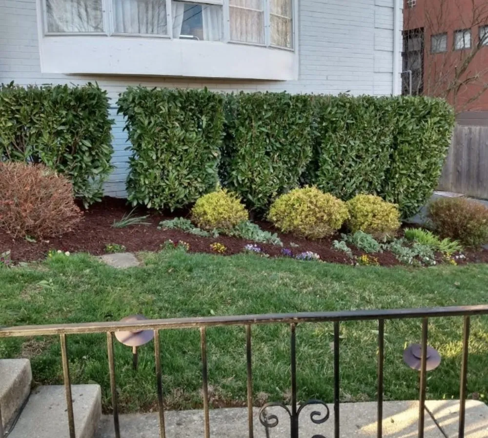 Local lawn care service experts serving Windsor Mill, MD - Ervin's Landscaping