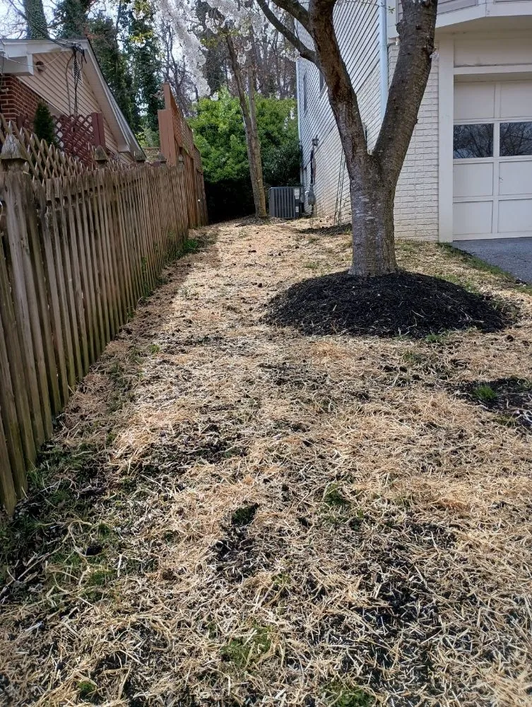 Top-rated landscape design experts serving Windsor Mill, MD - Ervin's Landscaping