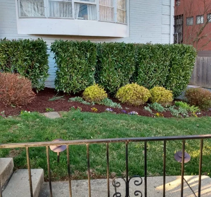 Affordable landscaping services for outdoor upgrades across Windsor Mill, MD - Ervin's Landscaping