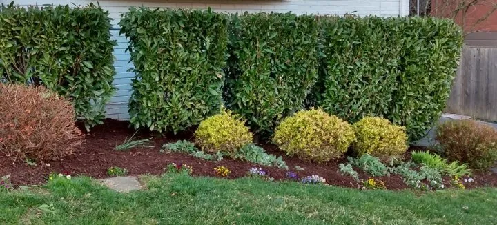 Affordable residential landscaping experts serving Windsor Mill, MD - Ervin's Landscaping