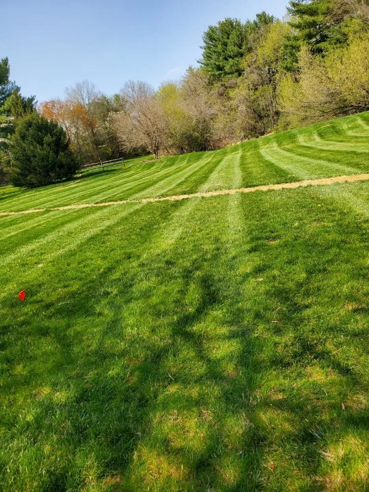 Reliable yard cleanup service experts serving Windsor Mill, MD - Ervin's Landscaping