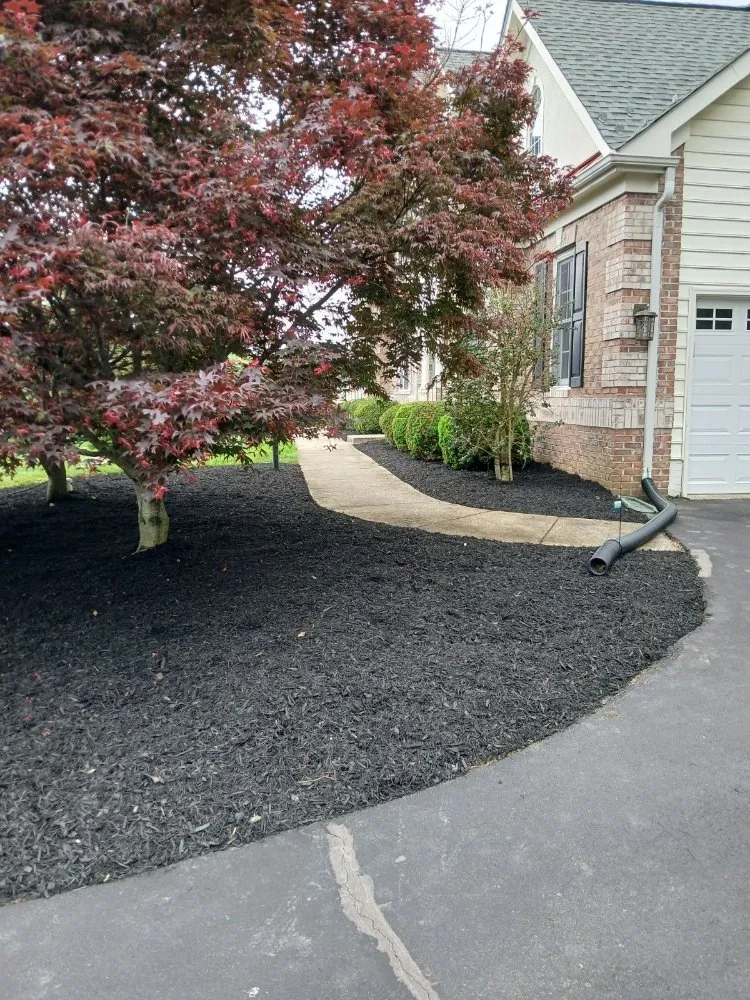 Reliable landscaping services in Windsor Mill, MD - Ervin's Landscaping