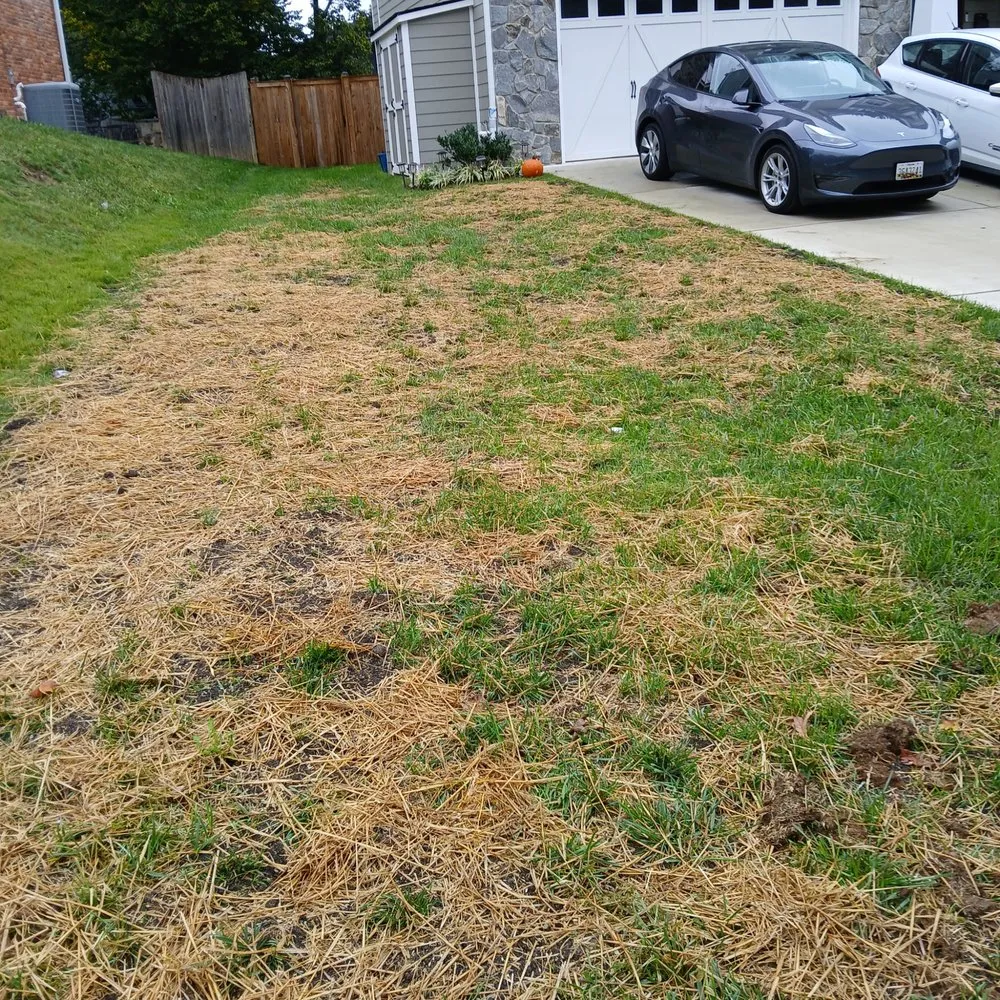 Local yard cleanup service in Windsor Mill, MD - Ervin's Landscaping