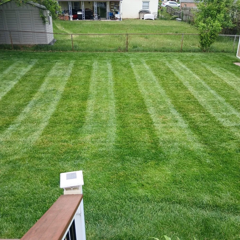 Local garden landscaping for outdoor upgrades in Windsor Mill, MD by Ervin's Landscaping