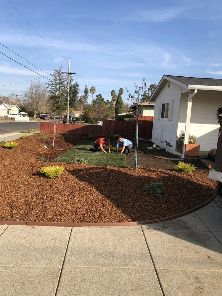 Affordable lawn mowing service experts serving San Rafael, CA - Erwin Gardens Care