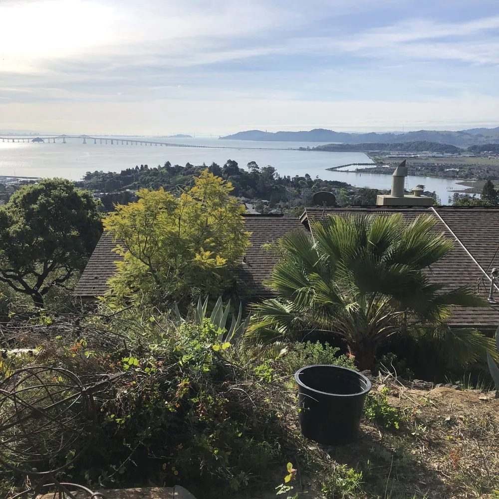 Local yard cleanup service experts serving San Rafael, CA - Erwin Gardens Care
