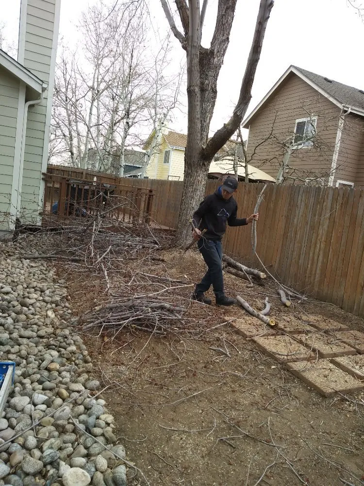 Trusted lawn care service near you in Lafayette, CO by ES & D Colorado Landscaping