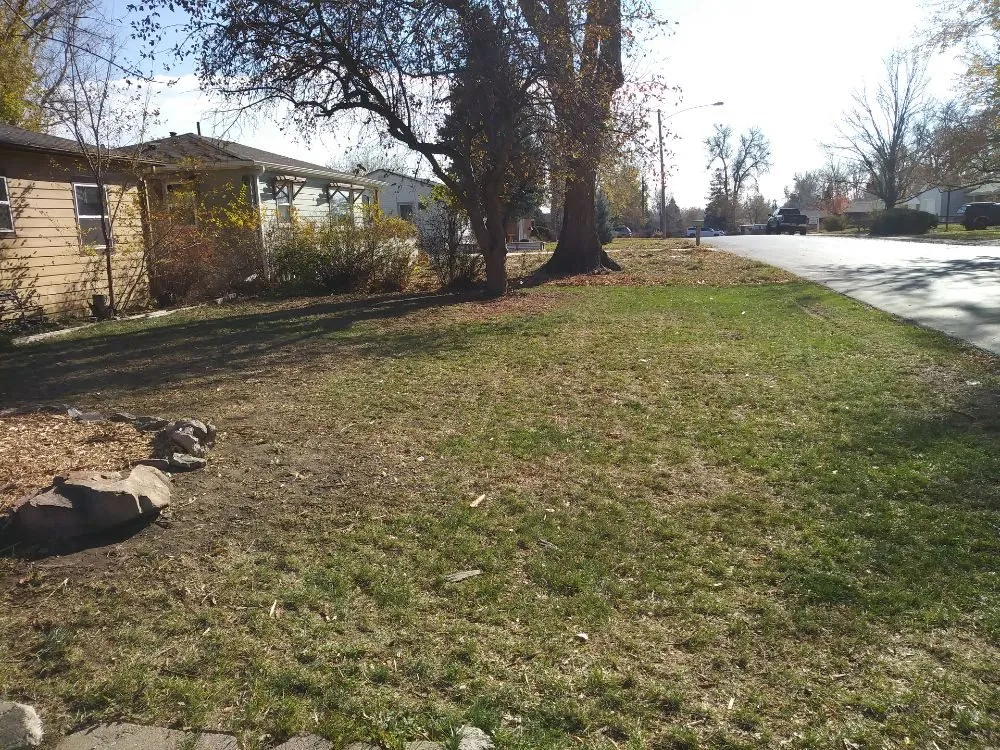 Top-rated yard maintenance for year-round maintenance across Lafayette, CO - ES & D Colorado Landscaping