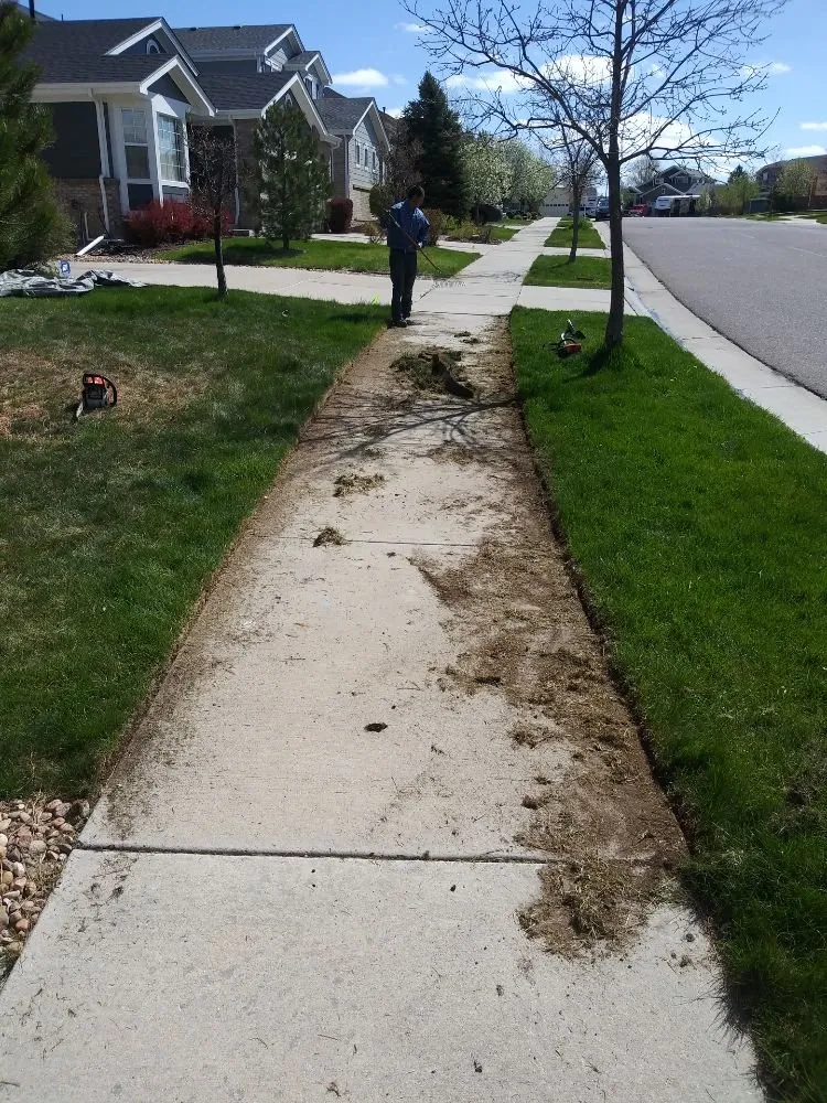 Professional landscaping services experts serving Lafayette, CO - ES & D Colorado Landscaping