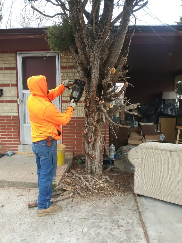 Expert landscape design in Lafayette, CO - ES & D Colorado Landscaping